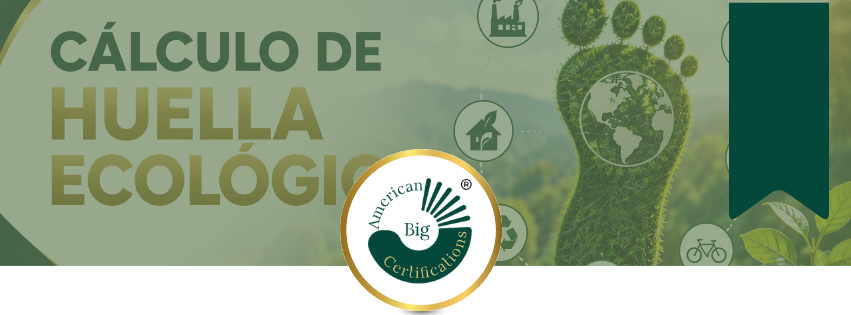 Cálculo