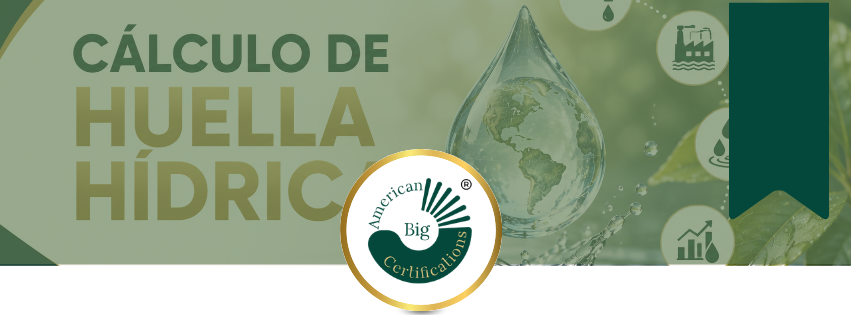 Cálculo